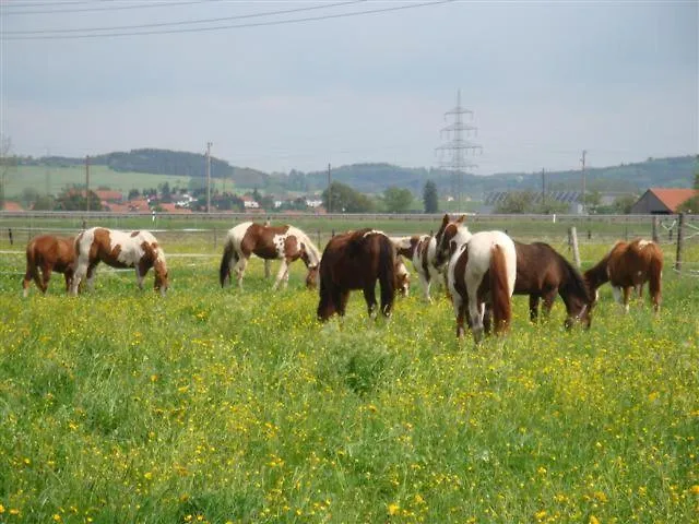 Chrom Ranch Reiterhof Bed & Breakfast Memmingen 0*,  Germany